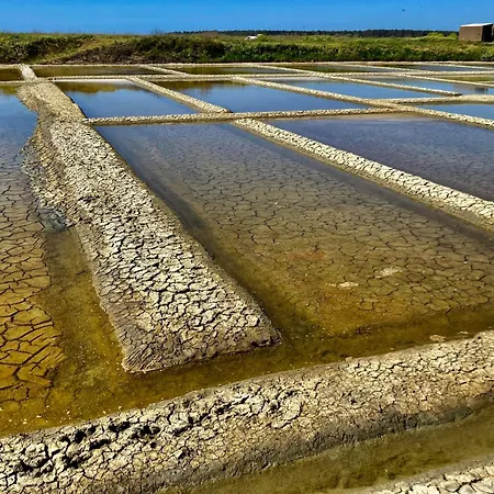 Lägenhet Cassiopee - Face