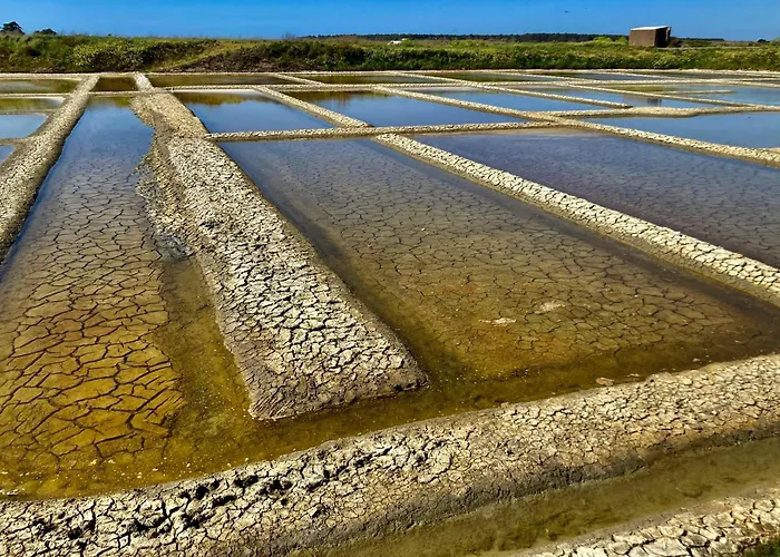 Lägenhet Cassiopee - Face
